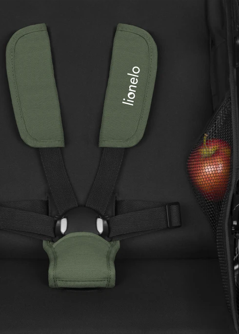 Lionelo Azura Green Forest — Wózek spacerowy | Opinie i cena