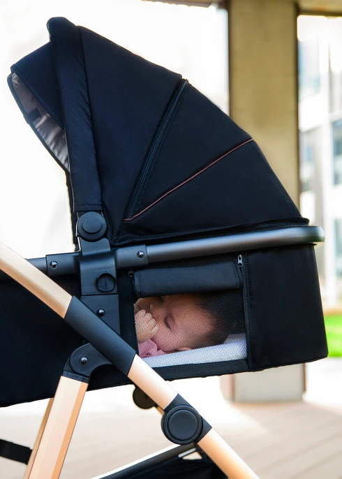 Wózek 2w1, gondola i spacerówka, pompowane koła - Amber Grey Stone - Lionelo