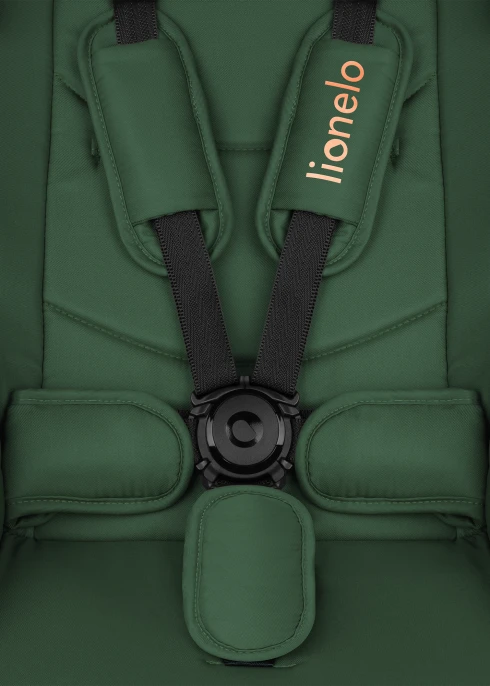 Lionelo Layla 2w1 Green Forest — Wózek wielofunkcyjny | Opinie i cena