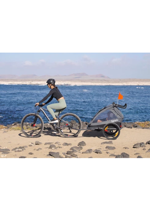 Torba do przyczepki Cama Bottle Holder Grey Stone - Lionelo