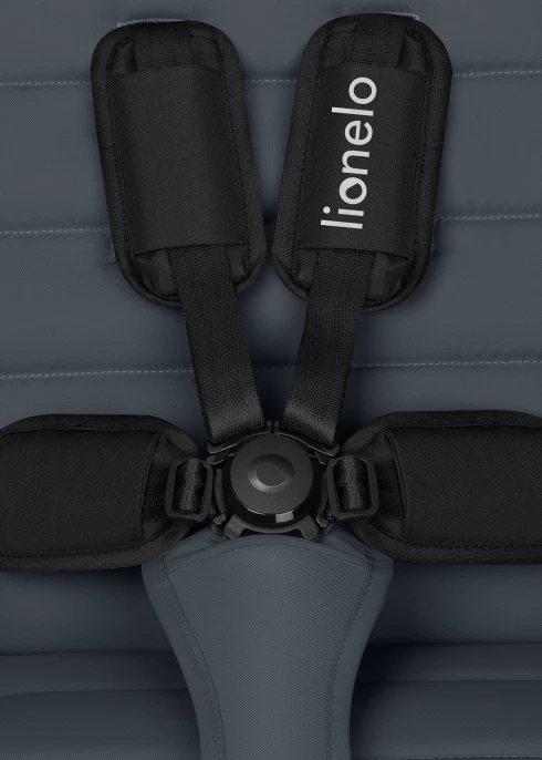 Wózek spacerowy od narodzin, koła gumowe, do 22 kg, klamra magnetyczna - Iva Grey Graphite - Lionelo