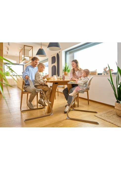 Lionelo Dalia Set Grey Stone Natural — Krzesełko do Karmienia i Bujak 4w1 | Opinie i cena