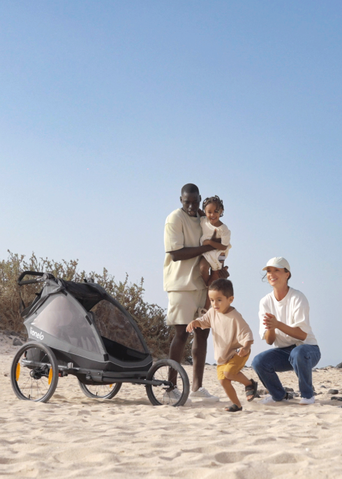 Przyczepka rowerowa z funkcją wózka spacerowego Cama Grey Graphite