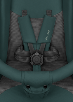 Wózek spacerowy Lionelo Elia Green Graphite