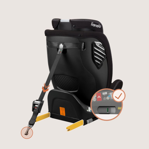 Szeroki zakres wzrostowy