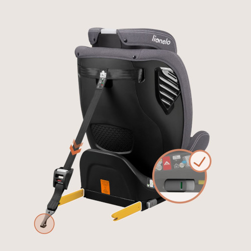 Szeroki zakres wzrostowy