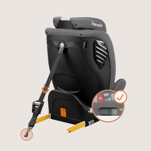 Szeroki zakres wzrostowy